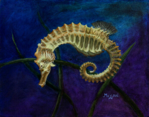 Cedric (seahorse)