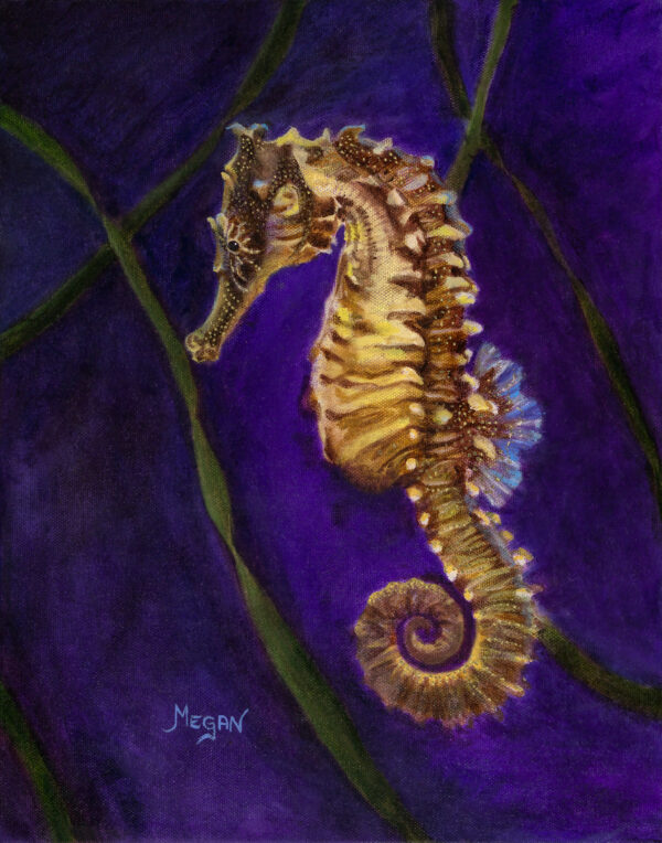 Steadfast (seahorse)