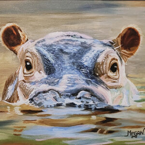 00 Hippo