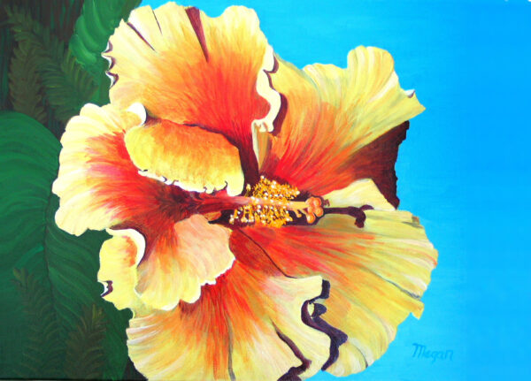 Hibiscus