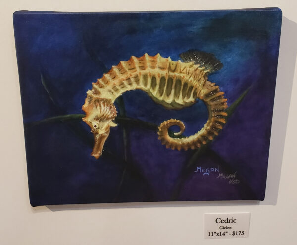 Cedric - Image 2